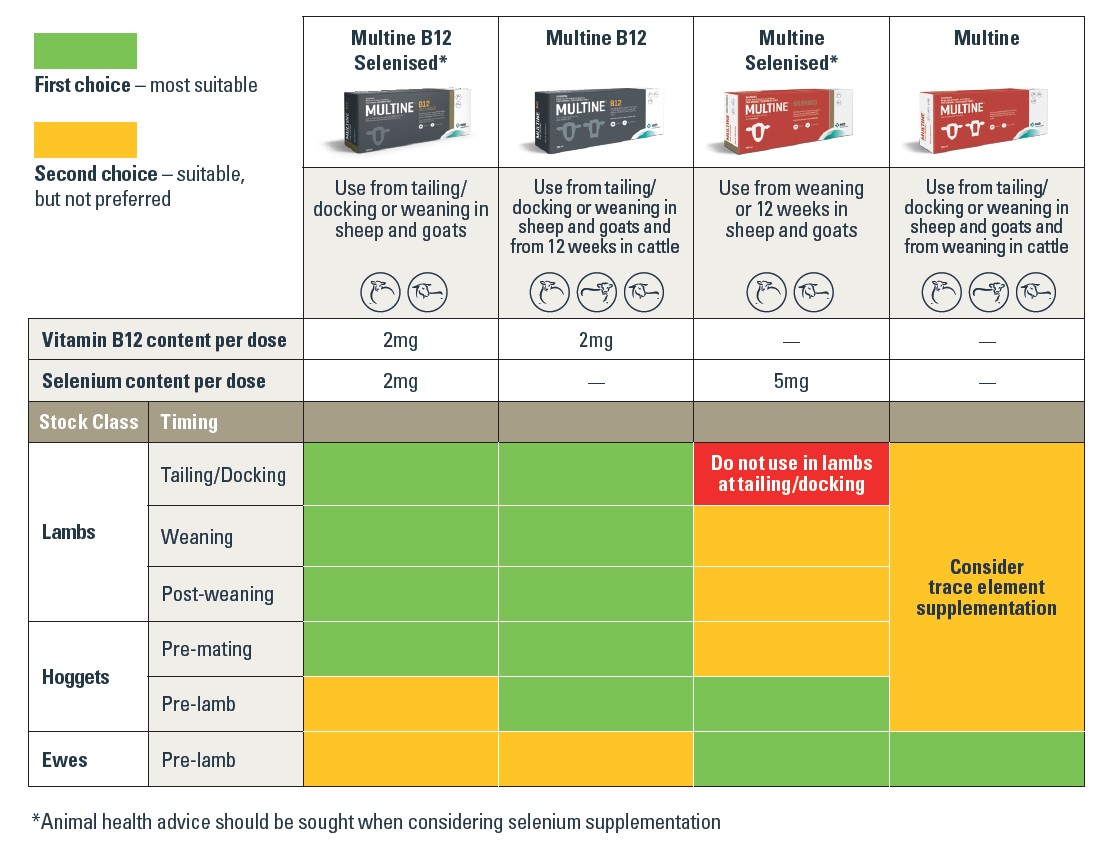 Multine Product Range Guide